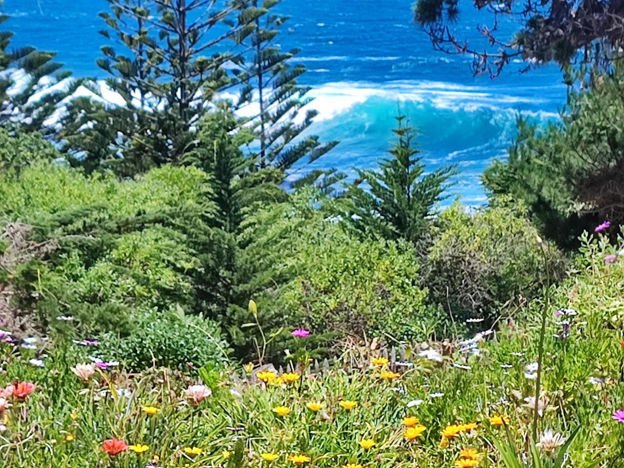 Casa Con Hermosa Vista Al Mar * Isla Negra